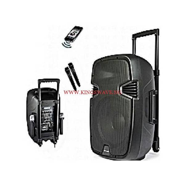 8'' Public Address System With Bluetooth, MicroSD, USB, FM Functions And Two Wireless Microphone