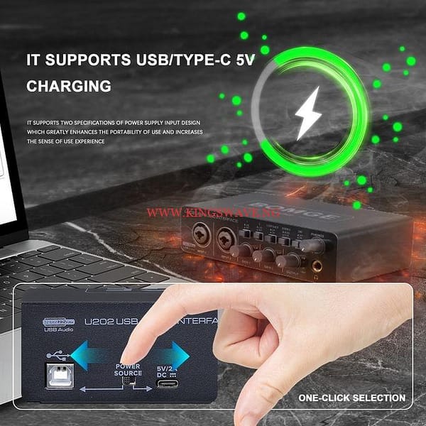 BOMGE U202 USB Audio Interface With Mic Preamplifier XLR/TSR/TS Ports,48V,32-Bit/192kHz Resolution For Computer - Image 3